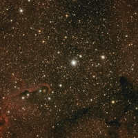 elephant-trunk_apod-copy