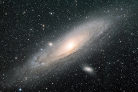 m31