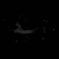 Messier 17, Labud, Omega