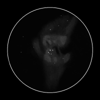Messier 42, Trapez