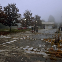 pgizlozba_07